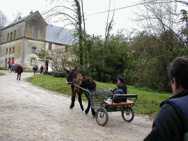 Driving_king_saintes